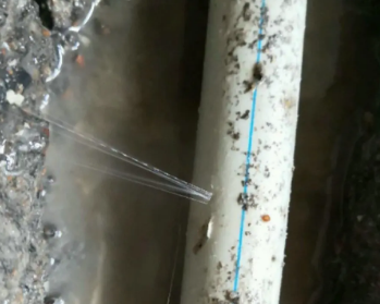 苍南卫生间测漏水多少钱