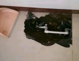 苍南卫生间测漏水多少钱